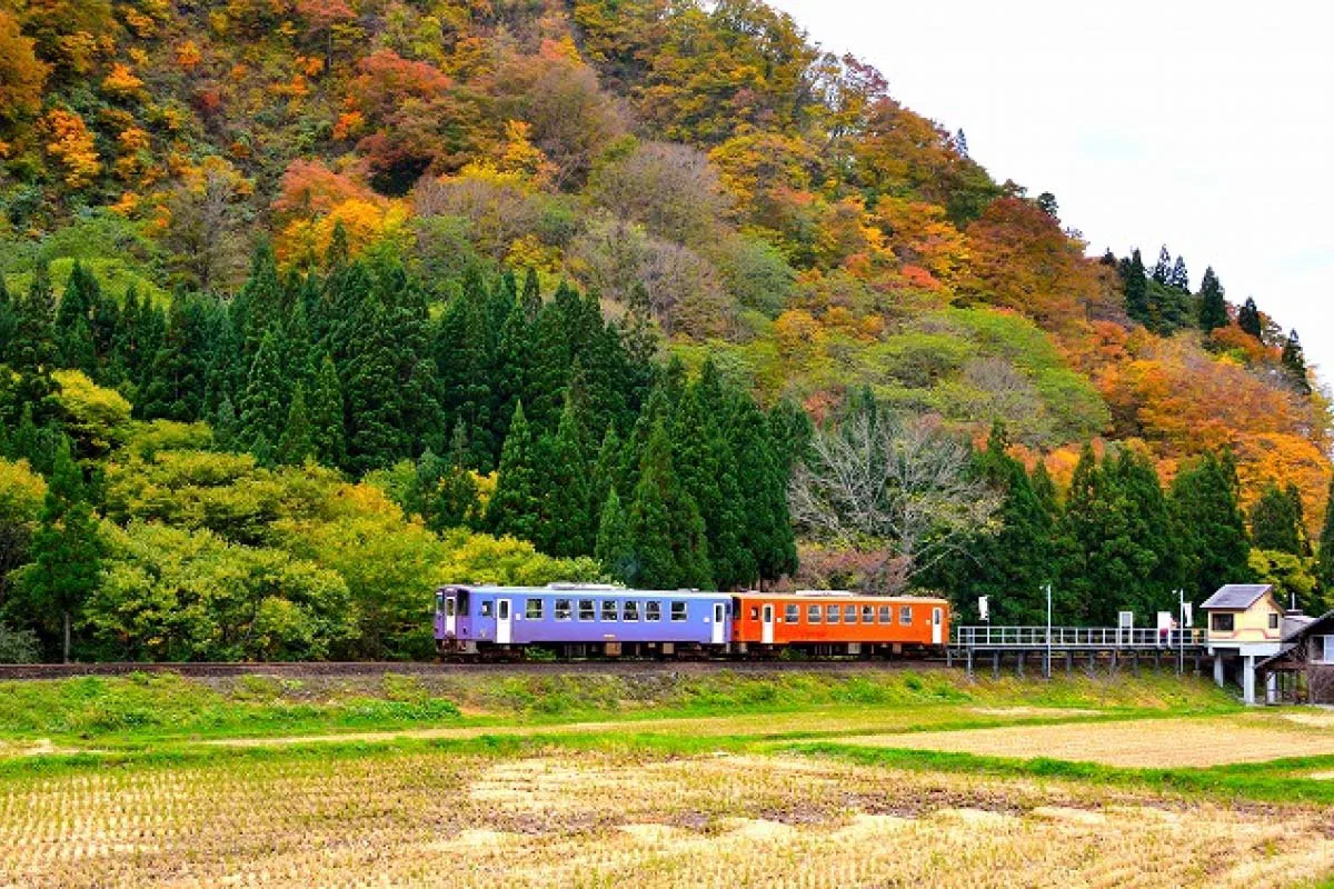ทัวร์ญี่ปุ่น เดือนตุลาคม 2569 APPLE AKITA & SENDAI AUTUMN ELEGANCE EXPERIENCE 8D5N