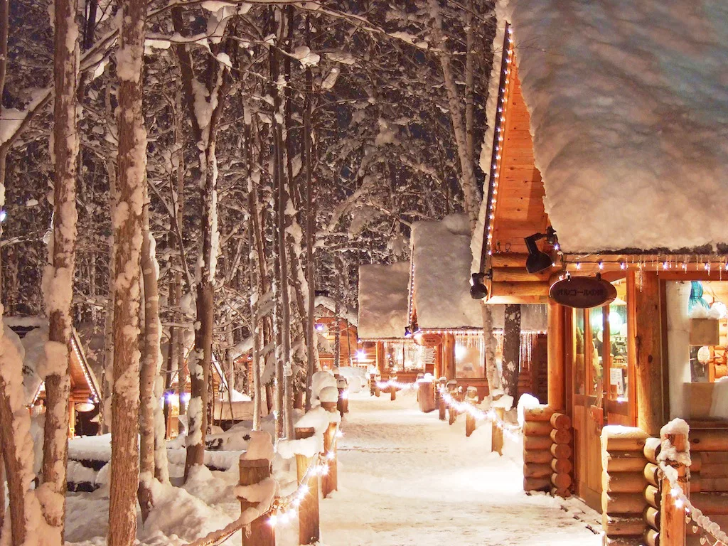 ทัวร์ญี่ปุ่นเดือนธันวาคม 2569 APPLE HOKKAIDO SNOW SYMPHONY SKI WITH ONSEN PARADISE 7D5N