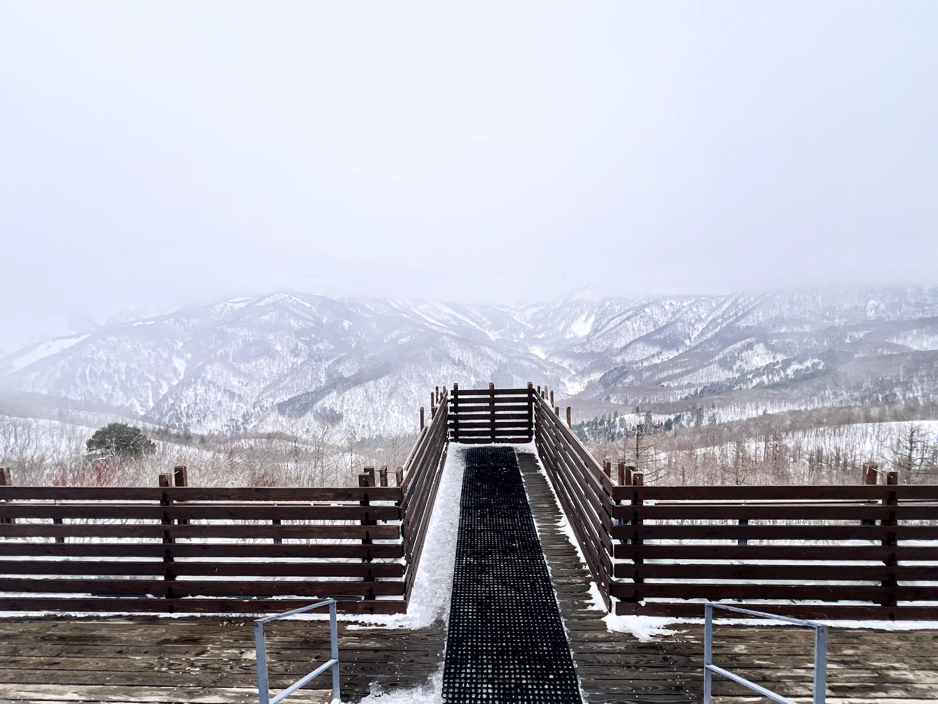 ทัวร์ญี่ปุ่นปีใหม่ APPLE SECRET MONKEY ONSEN WINTER OF NATURE SONG 8D5N