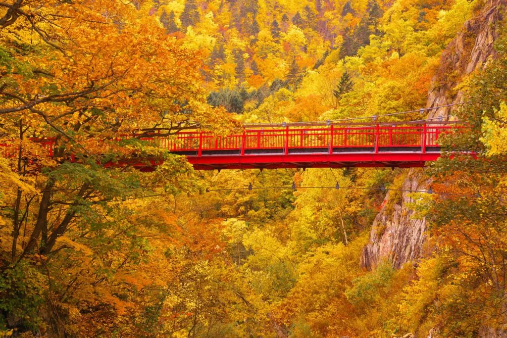 ทัวร์ญี่ปุ่น APPLE COLOURFUL AUTUMN LEAVES EAST HOKKAIDO (AMAZING HOT AIR BALLON) 7D5N